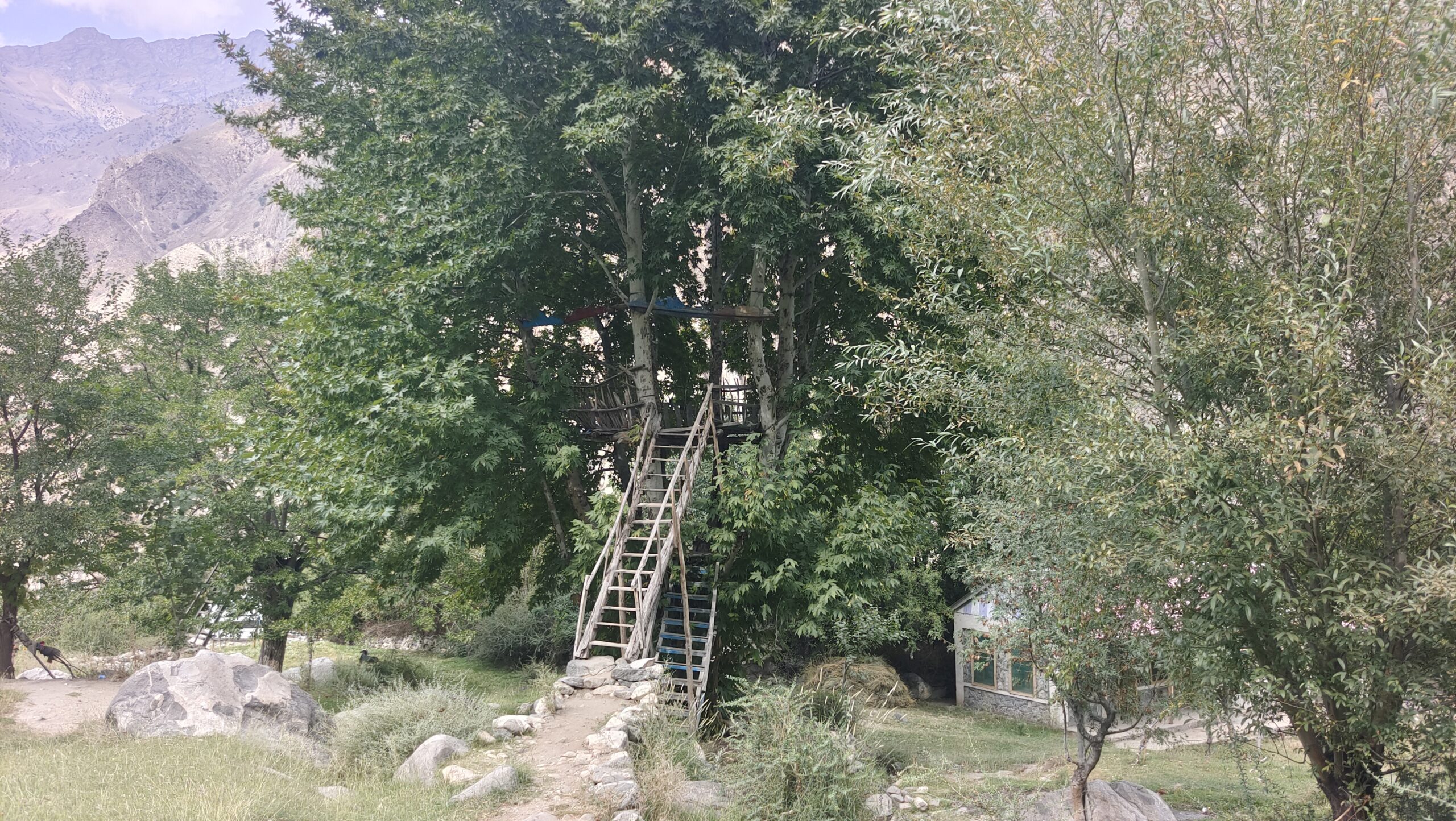 واٹر سپلائی