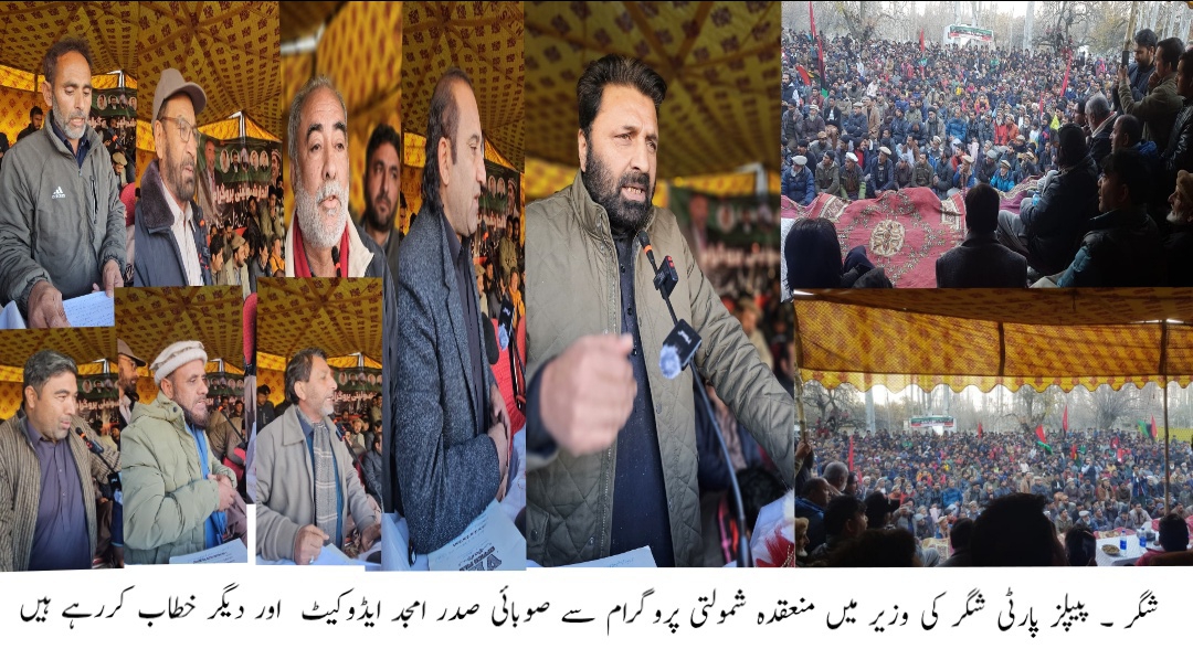 پاکستان پیپلز پارٹی