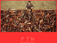 Key Summary: Australia’s Gun Control — A More Complicated Reality