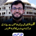 سیاسی جماعتوں